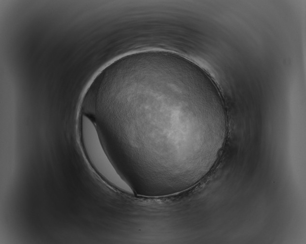 X0000095681524200801291147