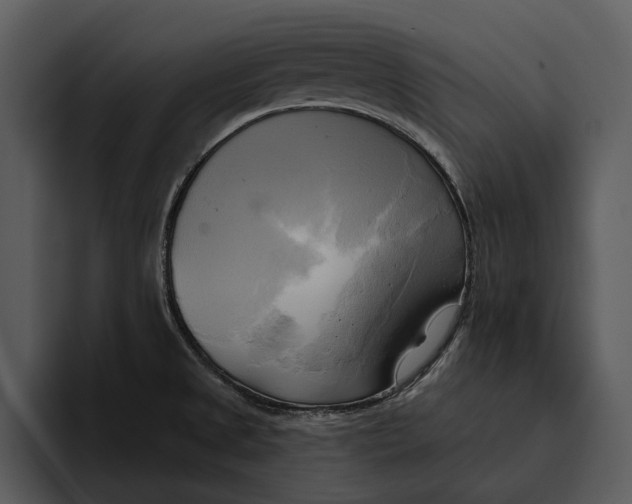 X0000095681525200801291147