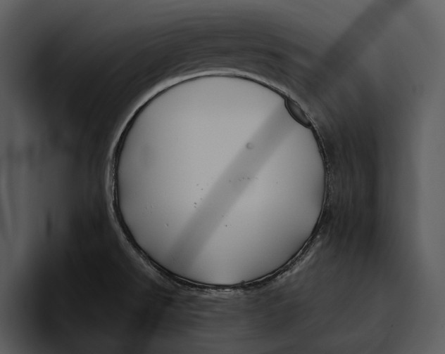 X0000095681526200801291147