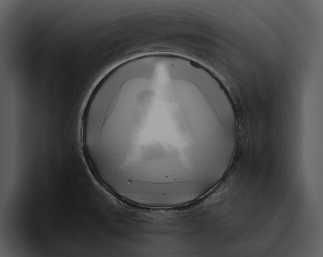 X0000095681527200801291147