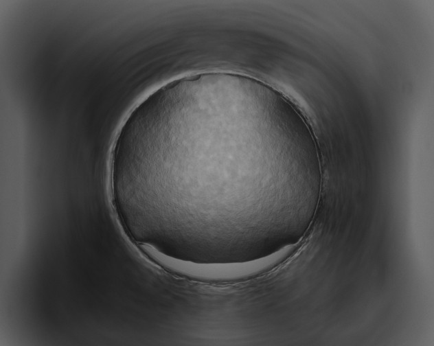 X0000095681528200801291147