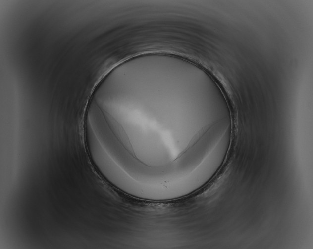 X0000095681529200801291147