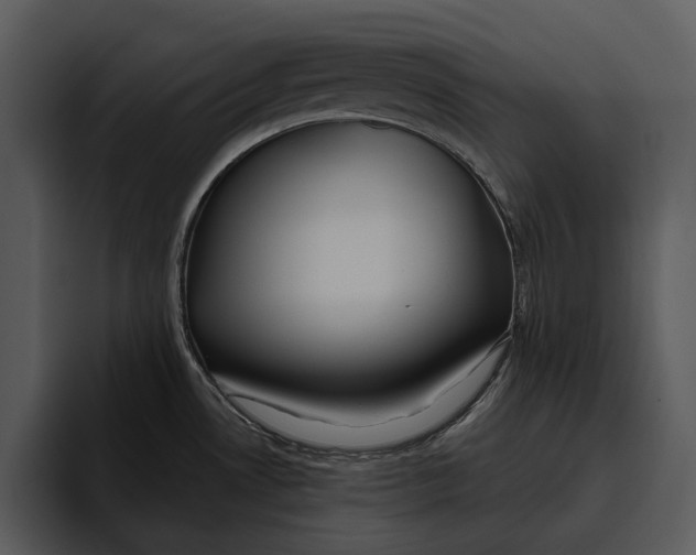 X0000095681530200801291147