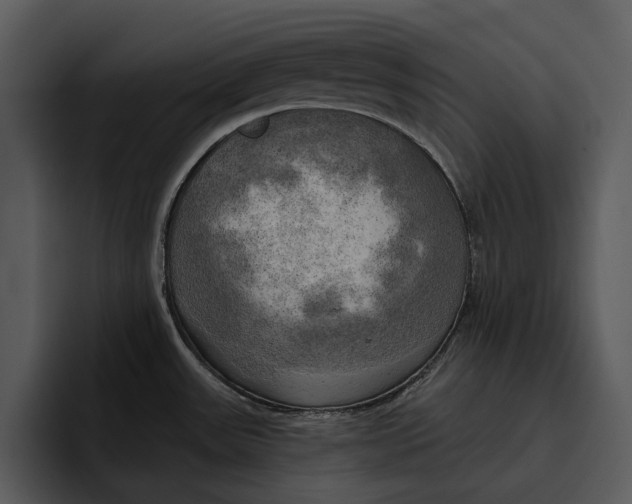 X0000095681531200801291147