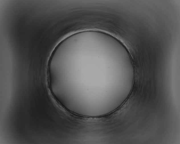 X0000095681534200801291147