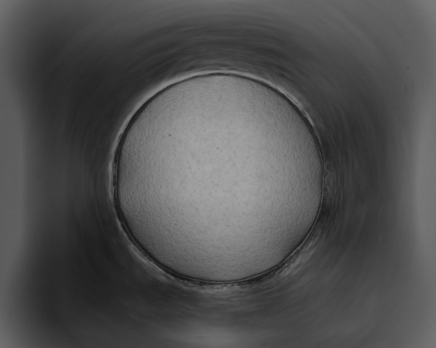 X0000095681535200801291147