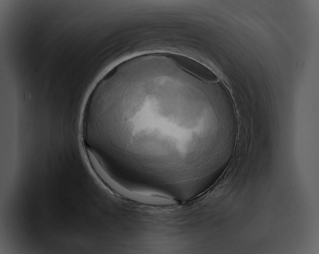 X0000095681536200801291147