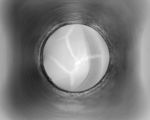 X0000095680002200802051301