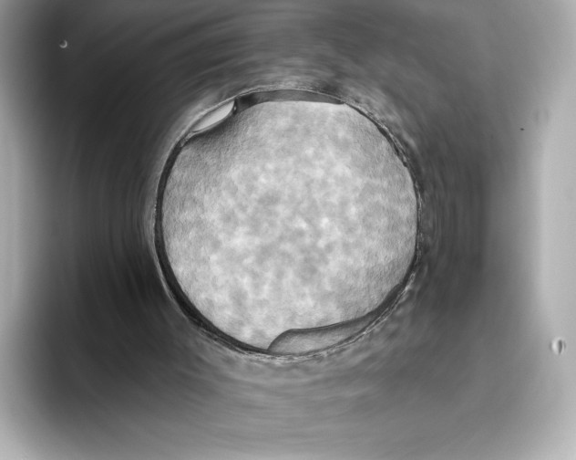 X0000095680003200802051301