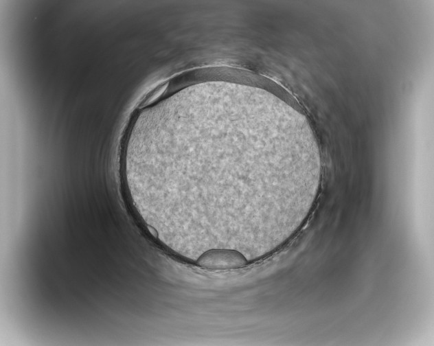 X0000095680006200802051301