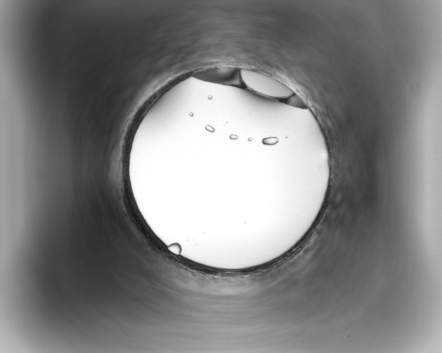 X0000095680008200802051301