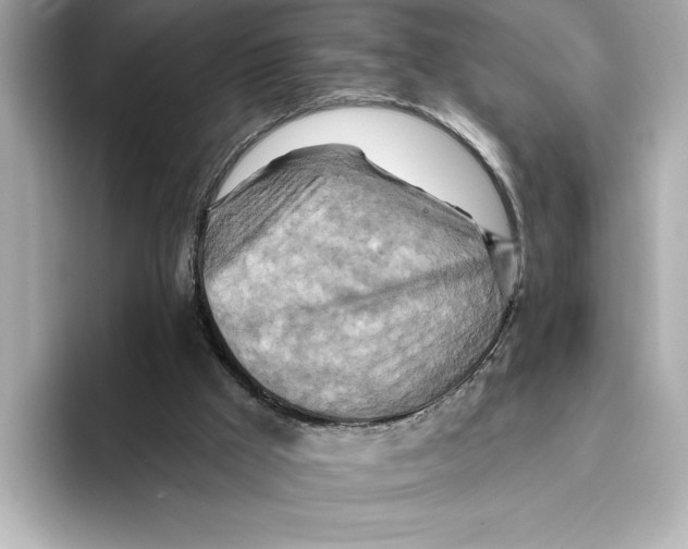 X0000095680009200802051301