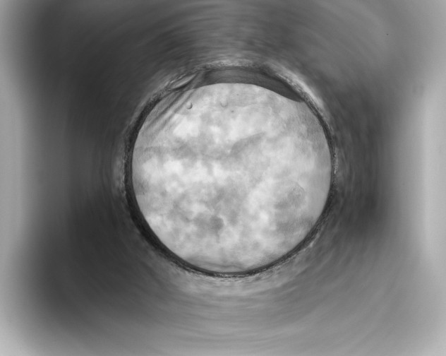 X0000095680010200802051301