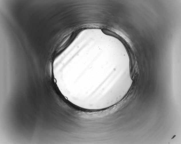 X0000095680013200802051301