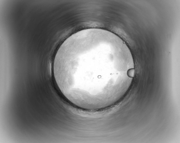 X0000095680014200802051301