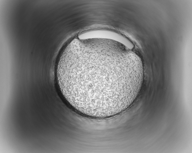 X0000095680015200802051301