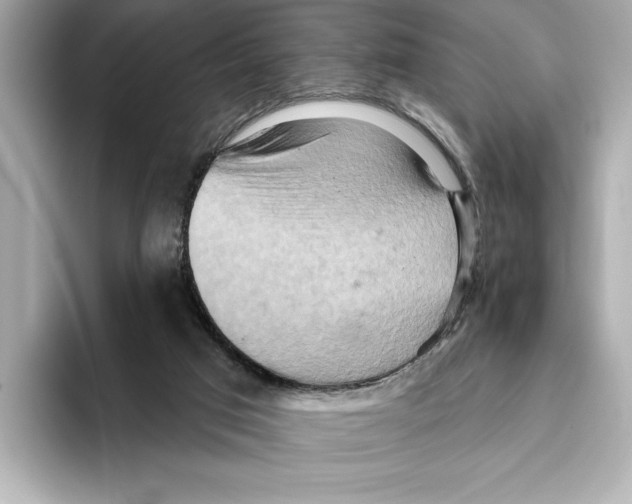 X0000095680017200802051301