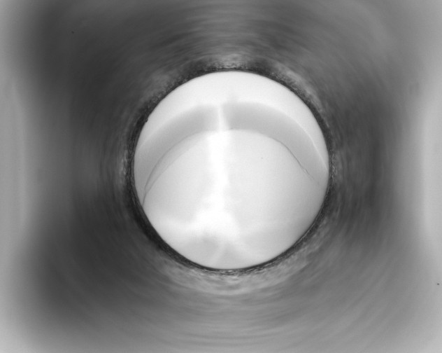 X0000095680018200802051301