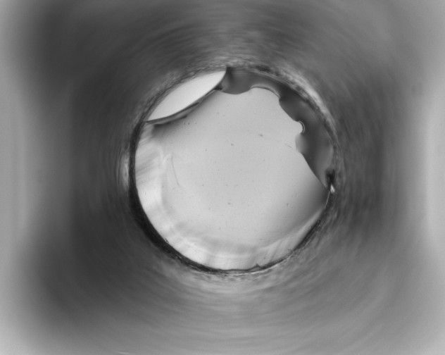 X0000095680019200802051301