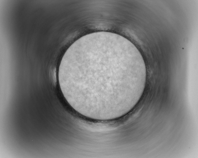 X0000095680020200802051301