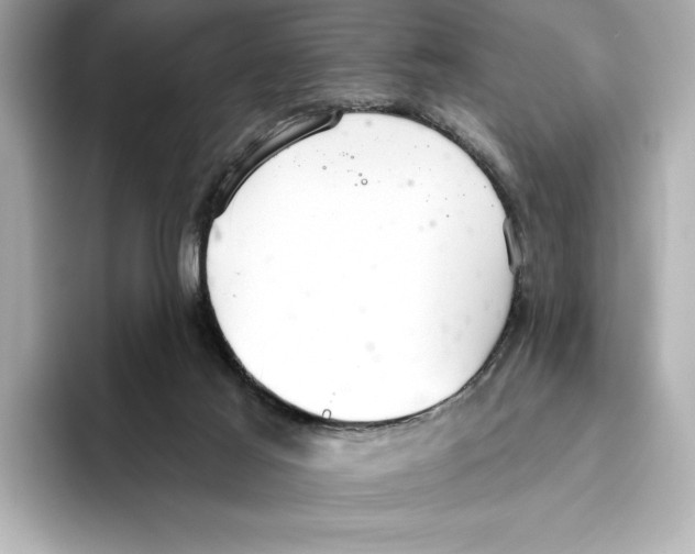 X0000095680021200802051301