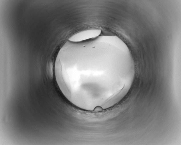 X0000095680022200802051301