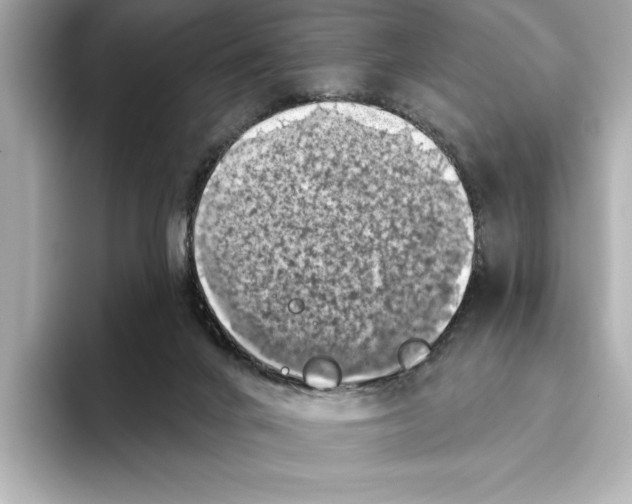 X0000095680024200802051301