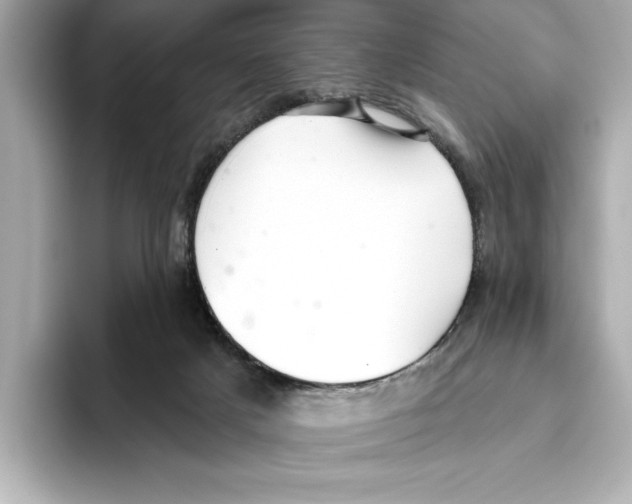 X0000095680025200802051301