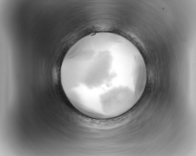 X0000095680026200802051301