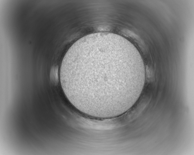 X0000095680028200802051301