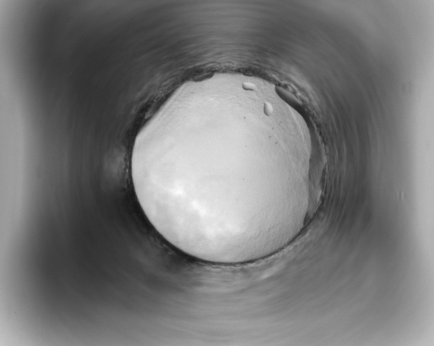 X0000095680029200802051301