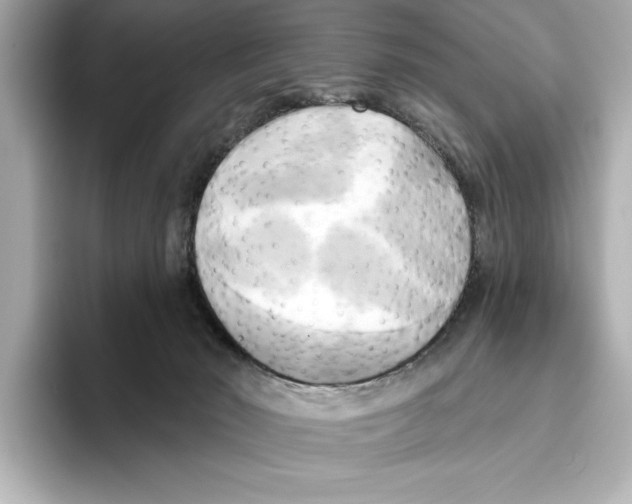 X0000095680030200802051301