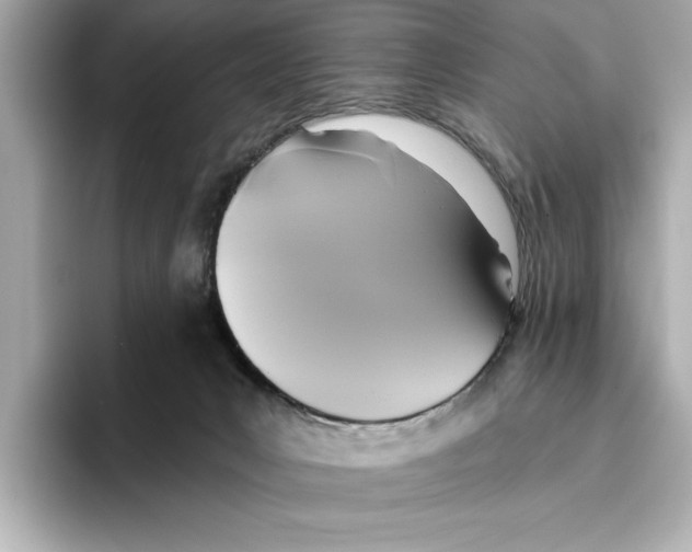 X0000095680031200802051301