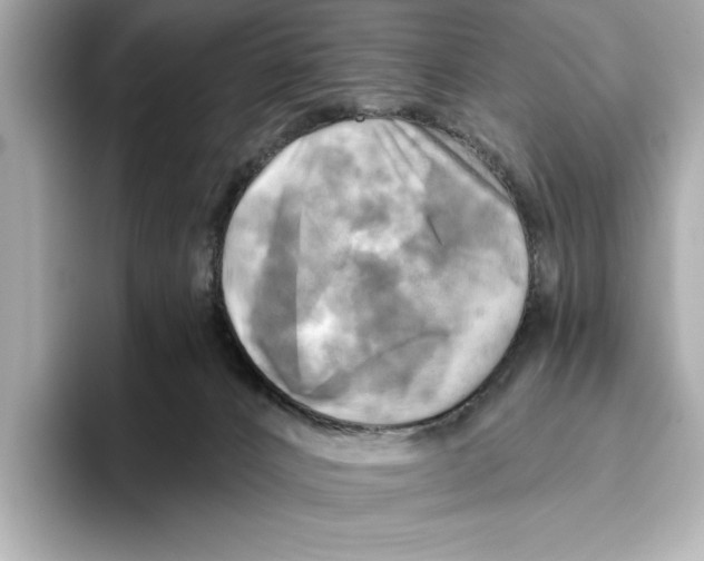 X0000095680032200802051301