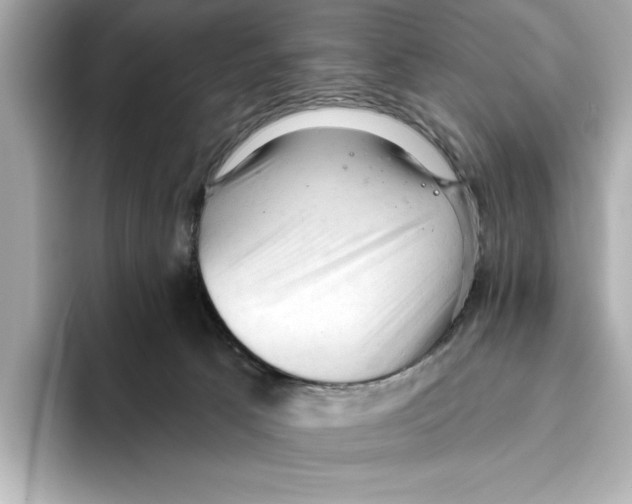 X0000095680033200802051301