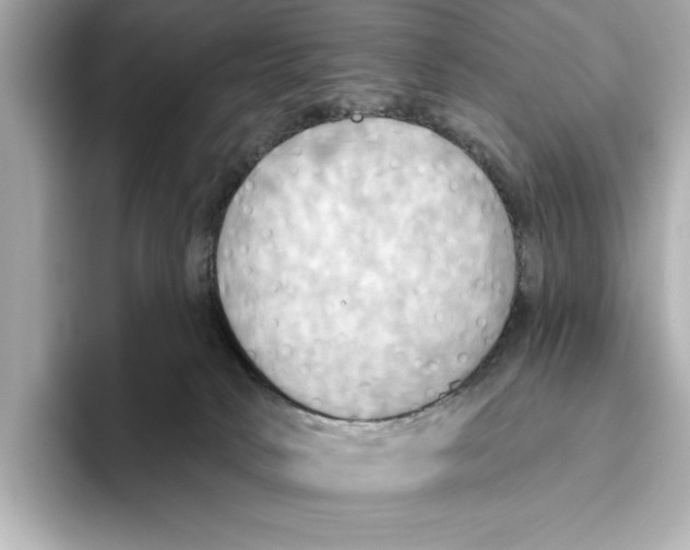 X0000095680034200802051301