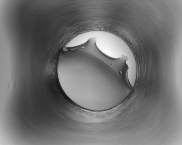 X0000095680035200802051301