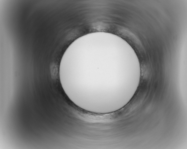 X0000095680036200802051301