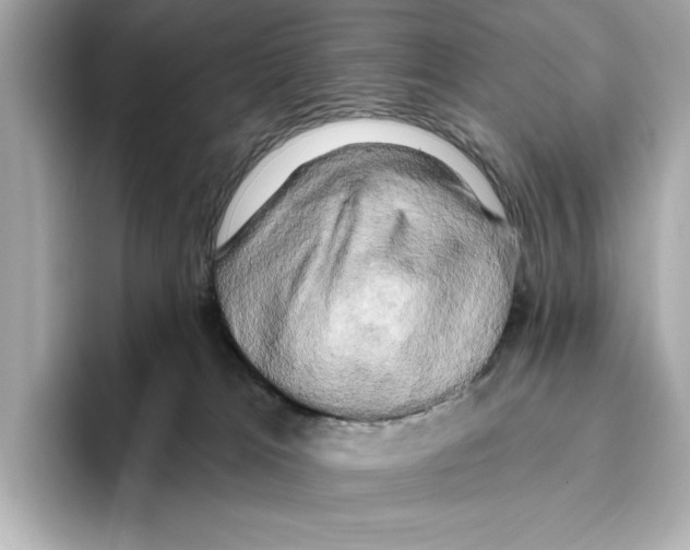 X0000095680037200802051301