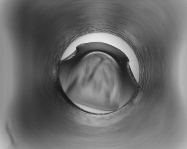 X0000095680039200802051301