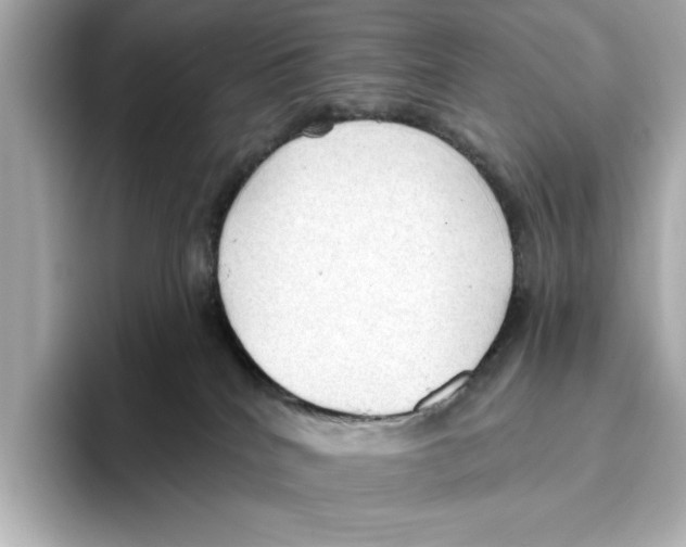 X0000095680040200802051301