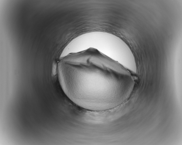 X0000095680041200802051301