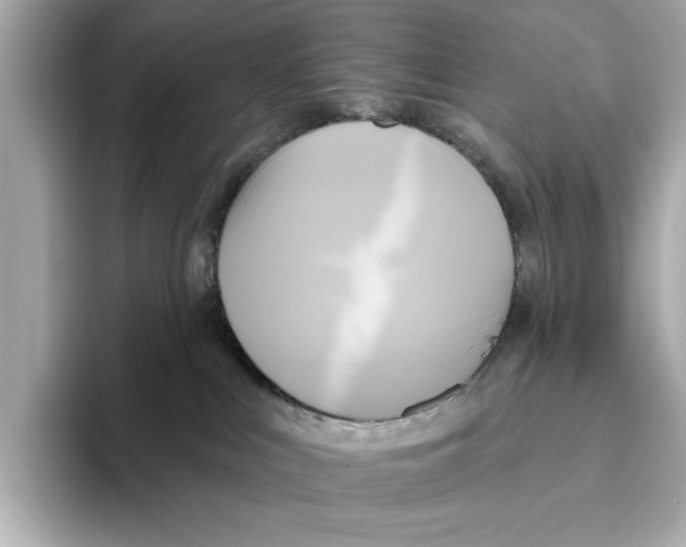 X0000095680043200802051301