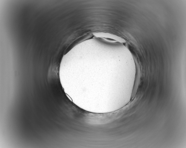 X0000095680045200802051301