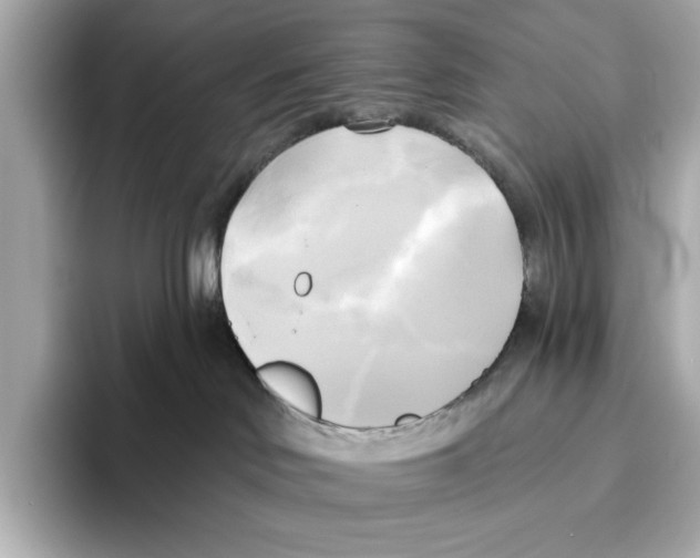 X0000095680046200802051301