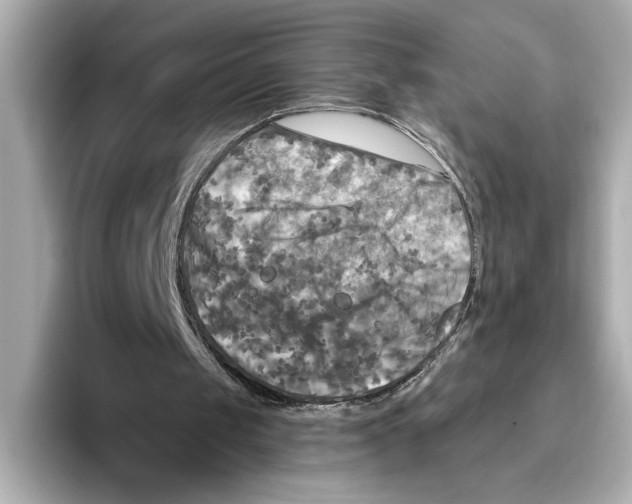 X0000095680049200802051300