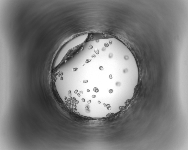 X0000095680050200802051300