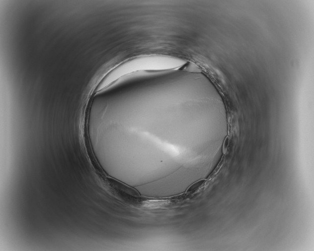 X0000095680051200802051300