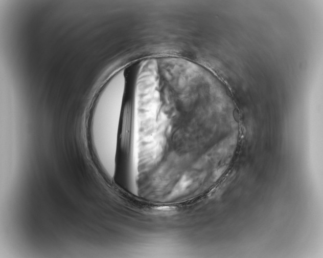 X0000095680053200802051300