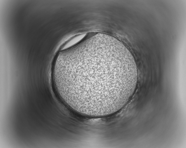 X0000095680054200802051300